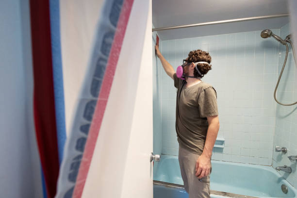 Dehumidification Services in Schlusser, PA
