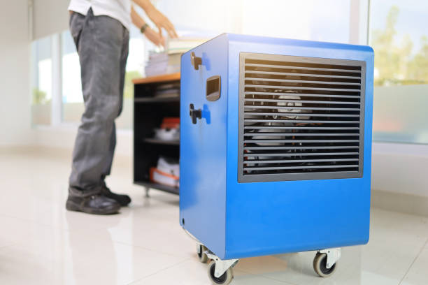 Best Commercial Mold Inspection  in Schlusser, PA